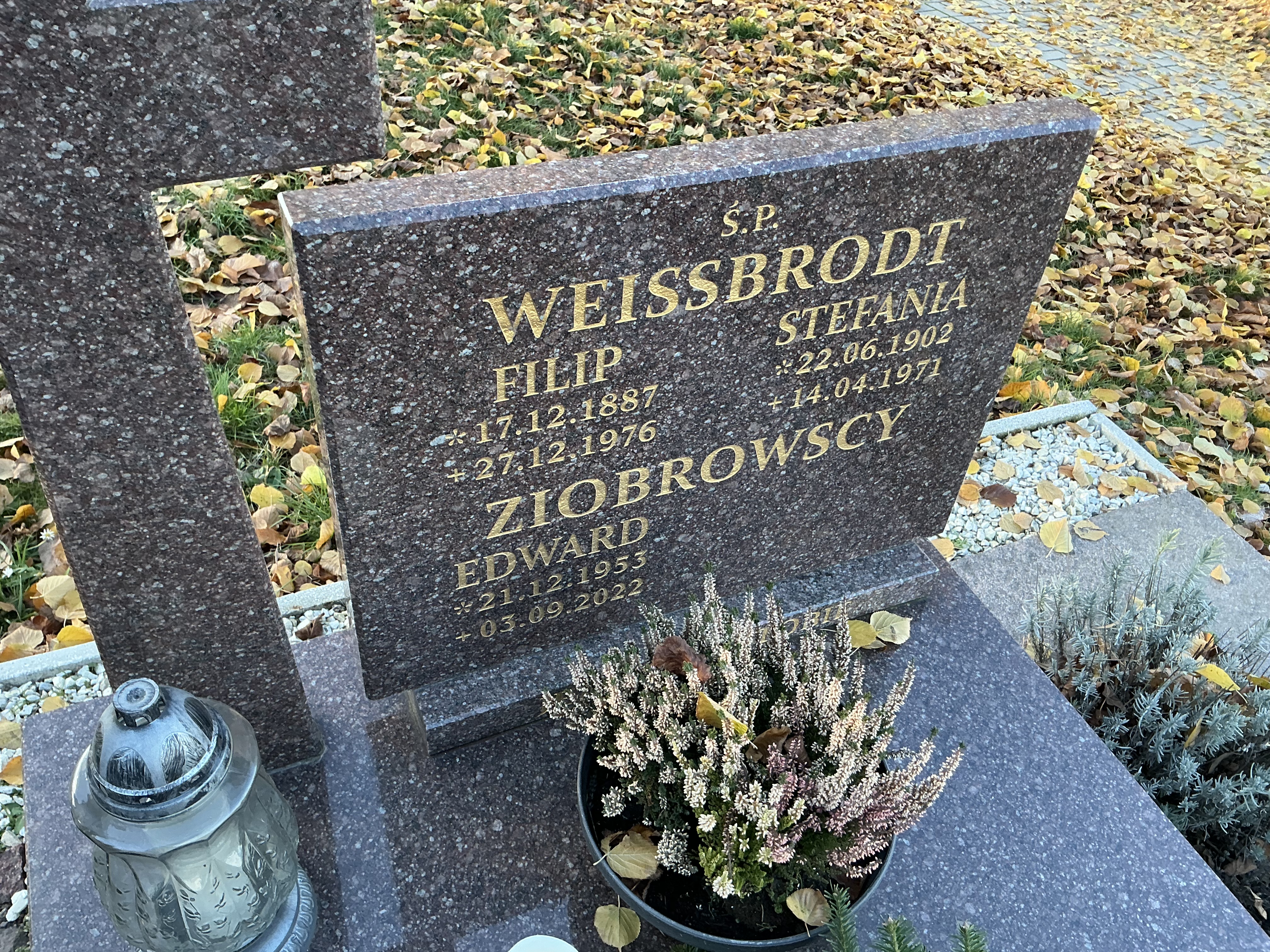 Edward Ziobrowski 1953 Oława Gmina - Grobonet - Wyszukiwarka osób pochowanych